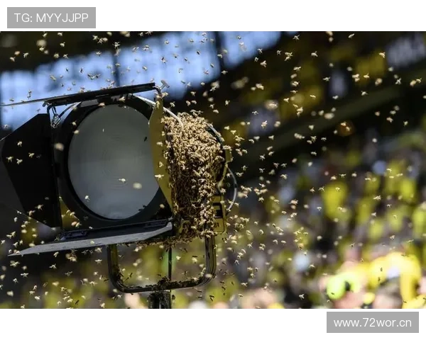 维尔茨 vs 罗伊斯：伤病阴影下的天才轨迹对比